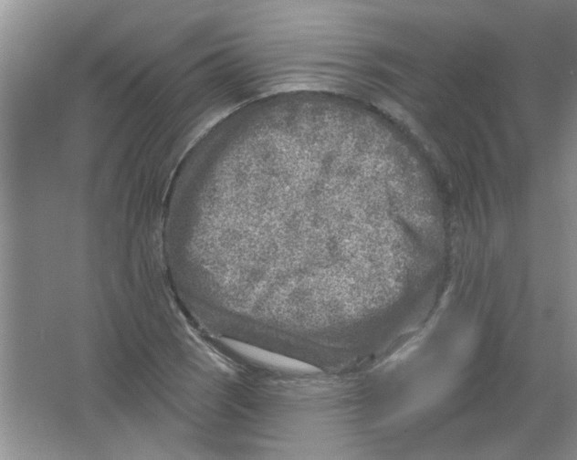 X0000065971121200603311831