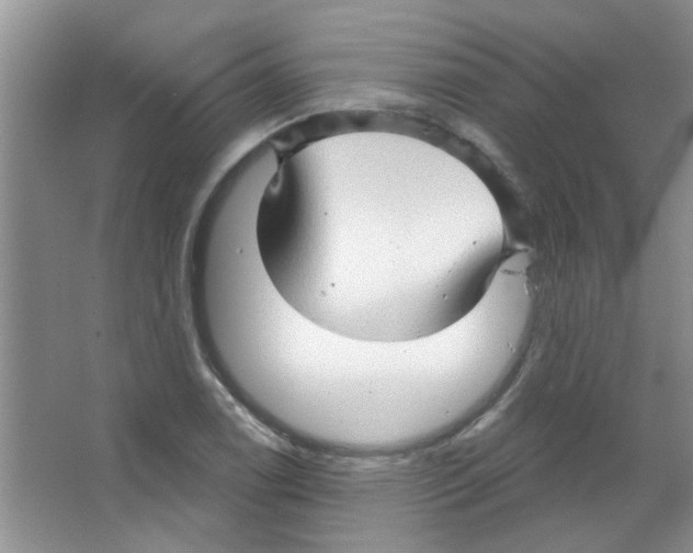 X0000065971122200603311831