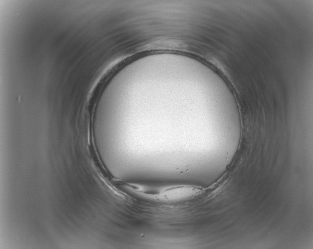 X0000065971123200603311831