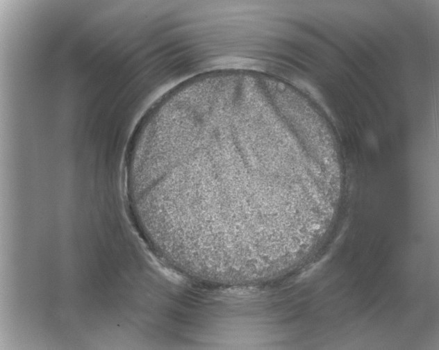 X0000065971125200603311831