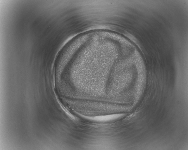 X0000065971127200603311831