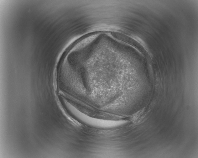 X0000065971128200603311831