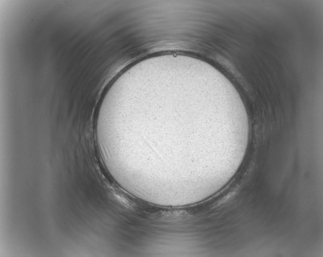 X0000065971129200603311832