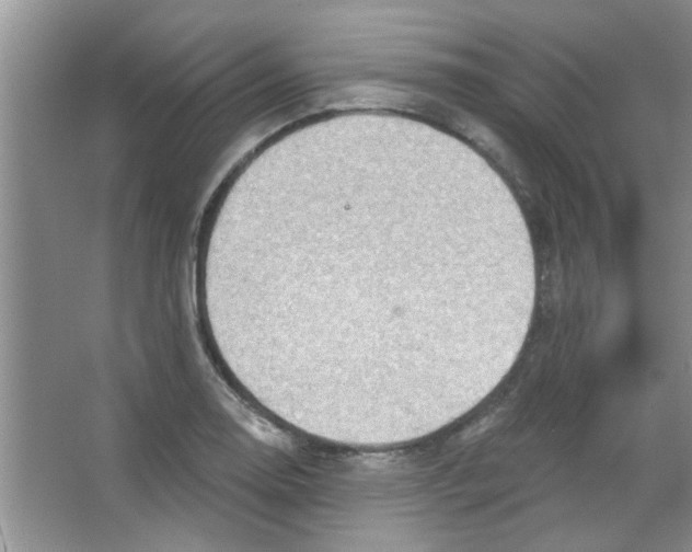 X0000065971130200603311832