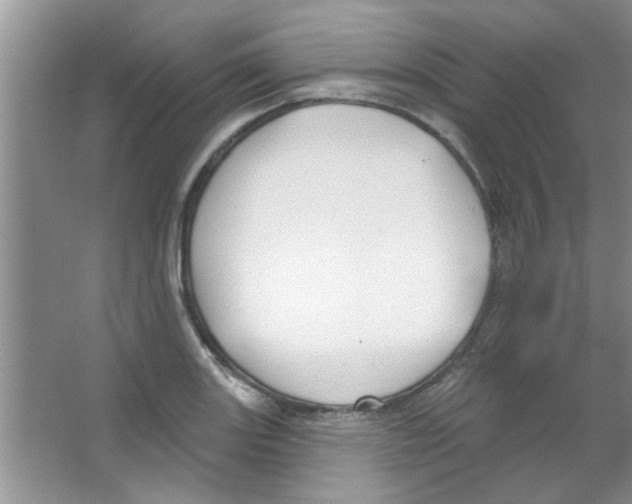 X0000065971131200603311832