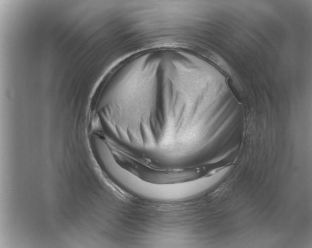 X0000065971132200603311832