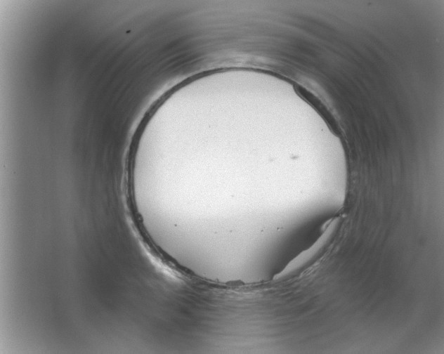 X0000065971136200603311832