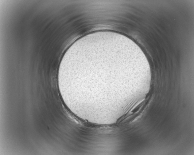 X0000065971137200603311832