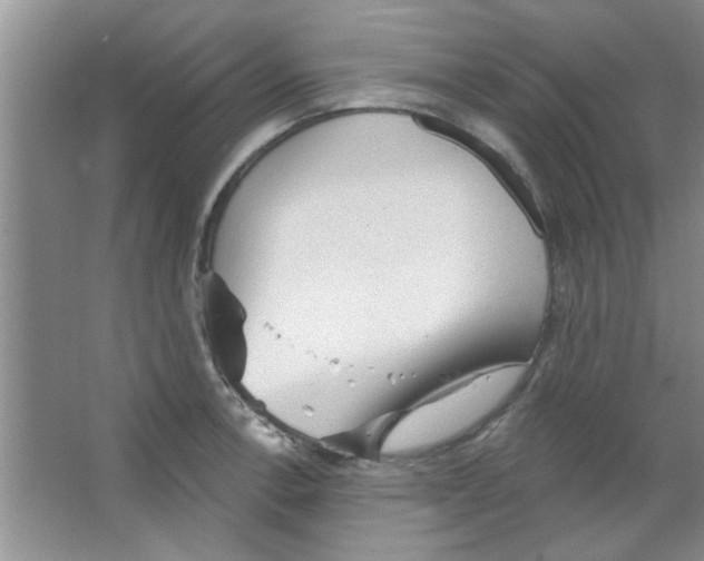 X0000065971138200603311832