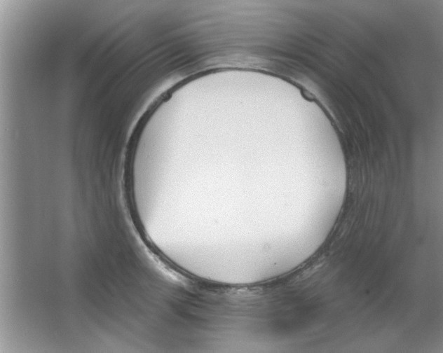 X0000065971139200603311832