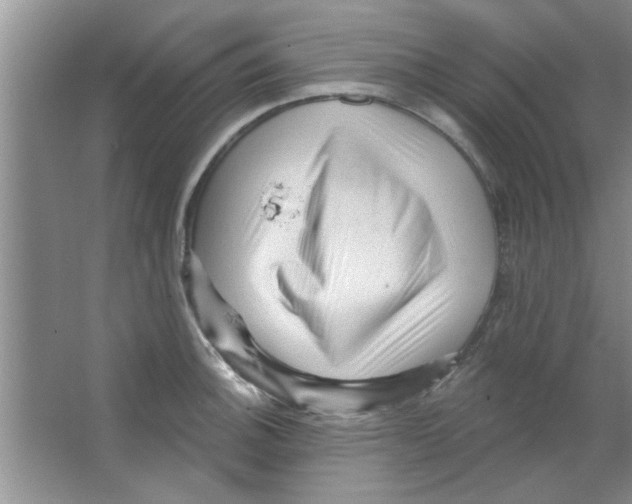 X0000065971140200603311832