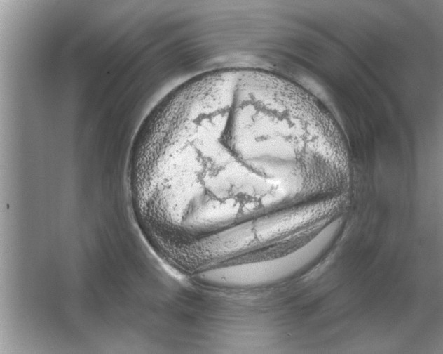 X0000065971141200603311832