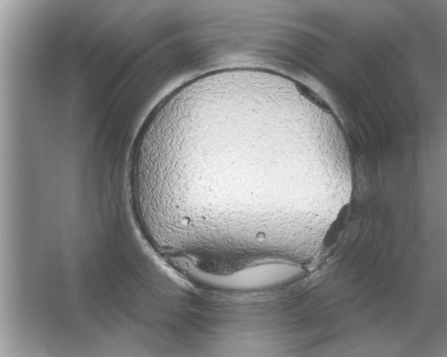 X0000065971142200603311832