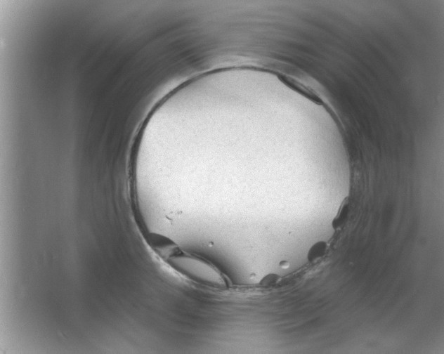 X0000065971143200603311832