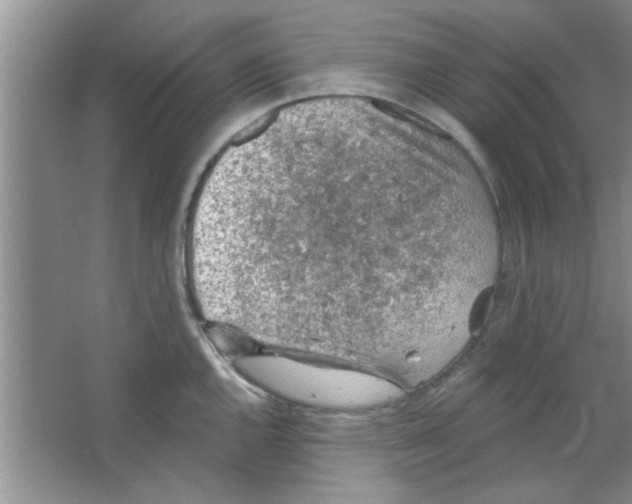 X0000065971144200603311832