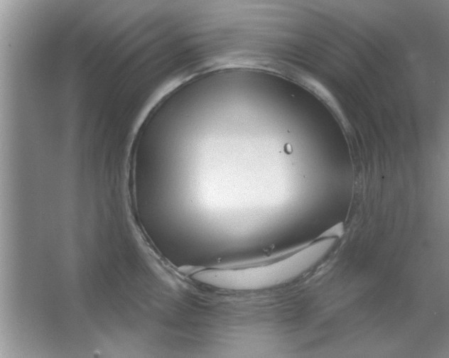 X0000065971146200603311832