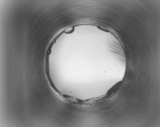 X0000065971147200603311832