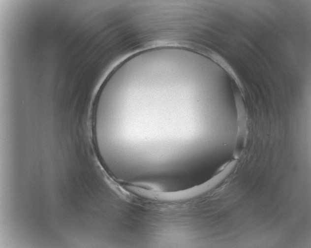 X0000065971148200603311832