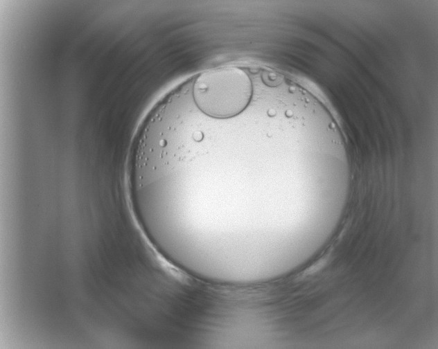 X0000065971149200603311832