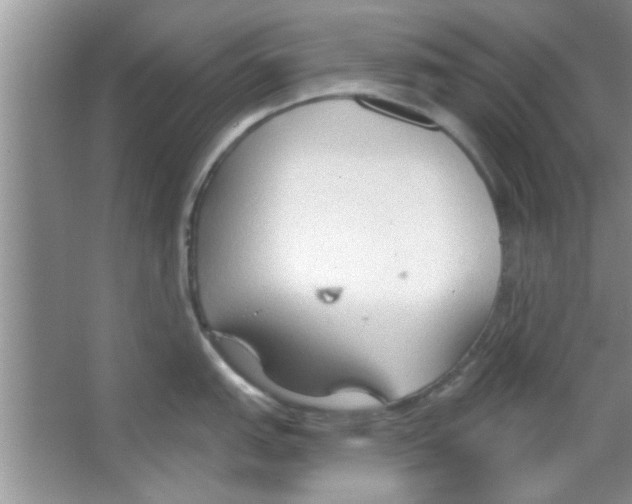 X0000065971151200603311832