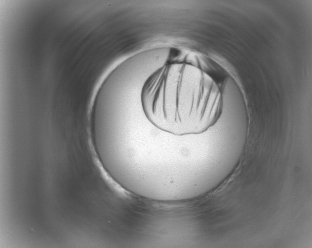 X0000065971152200603311832