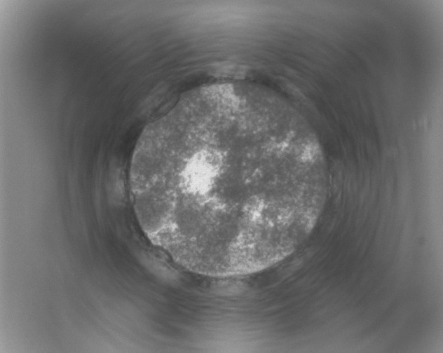 X0000065971154200603311831