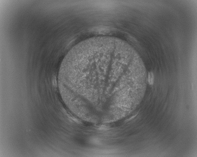 X0000065971155200603311831