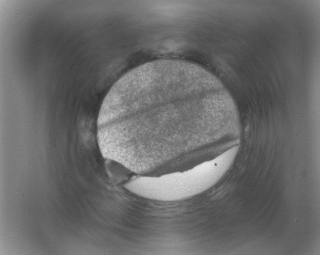 X0000065971156200603311831