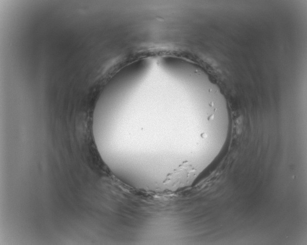 X0000065971157200603311831