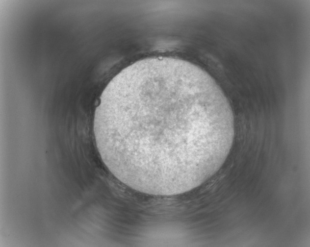 X0000065971158200603311831