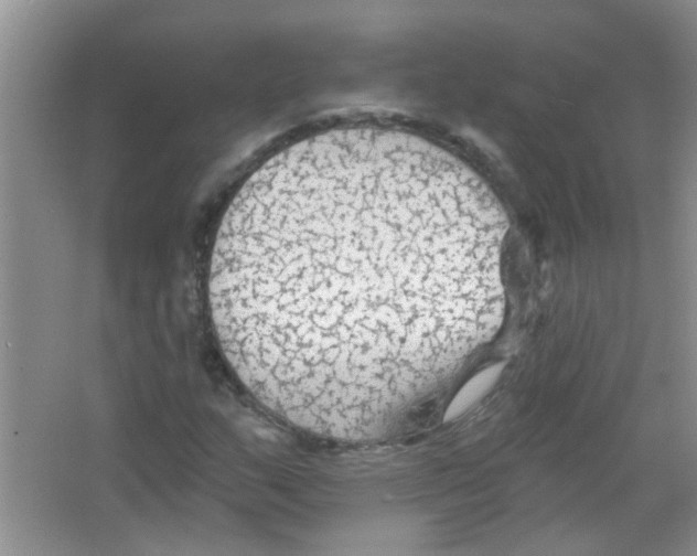 X0000065971159200603311831