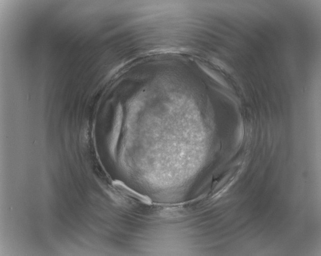 X0000065971161200603311831