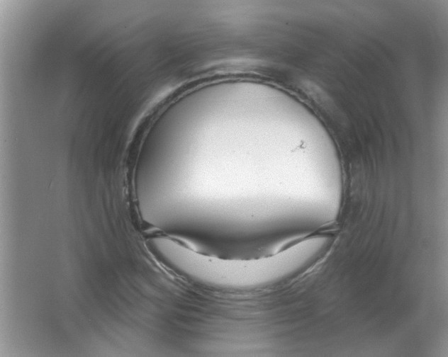 X0000065971164200603311831