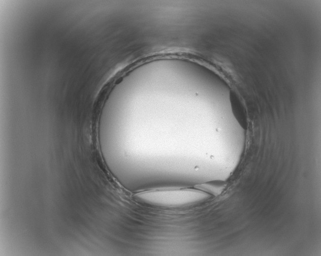 X0000065971165200603311831