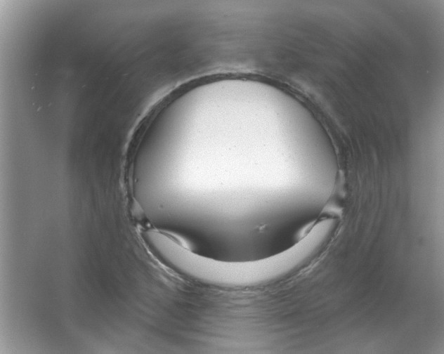 X0000065971168200603311831