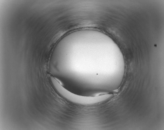 X0000065971169200603311831