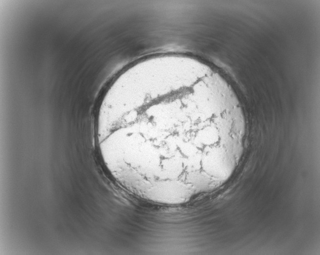 X0000065971171200603311831