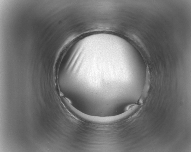 X0000065971172200603311831