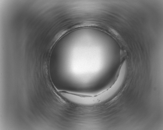 X0000065971177200603311831