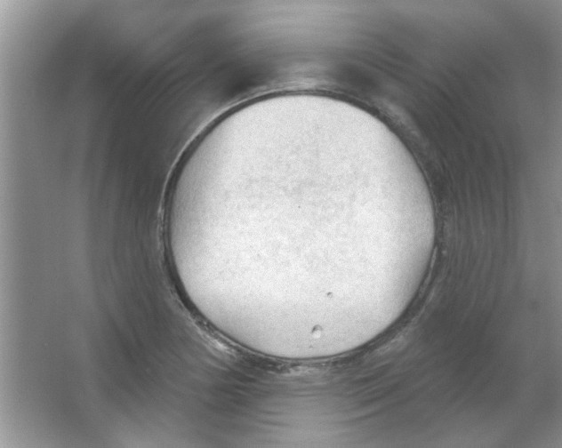 X0000065971178200603311831