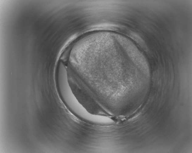 X0000065971180200603311831