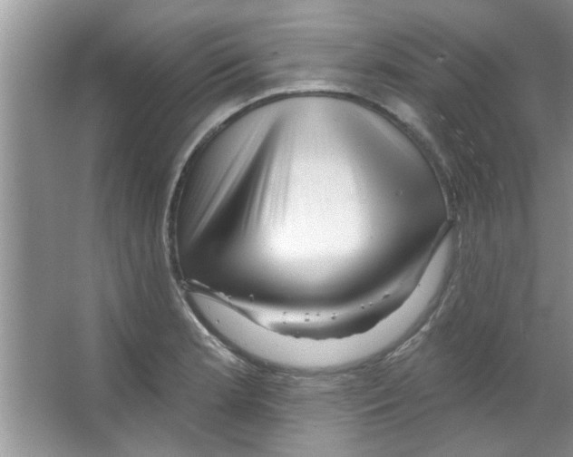 X0000065971181200603311831