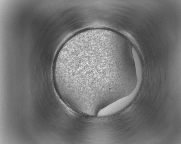 X0000065971183200603311831