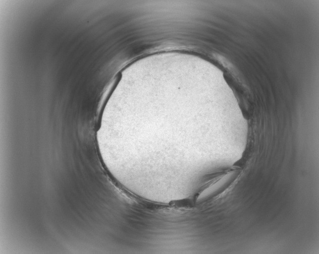 X0000065971185200603311831