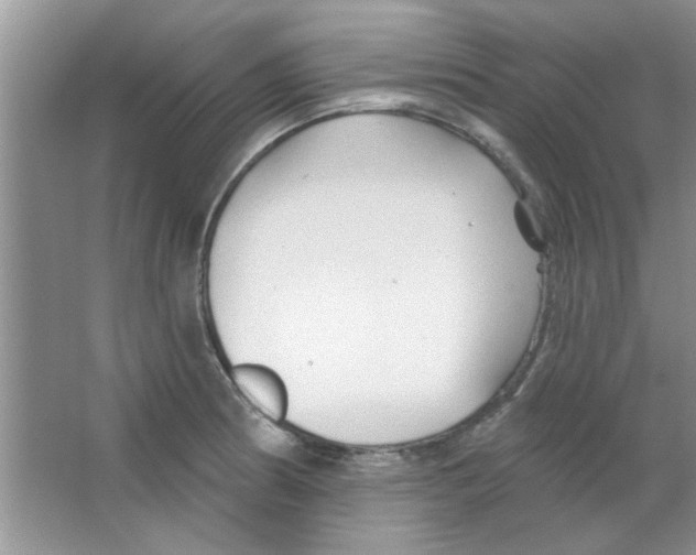 X0000065971186200603311831