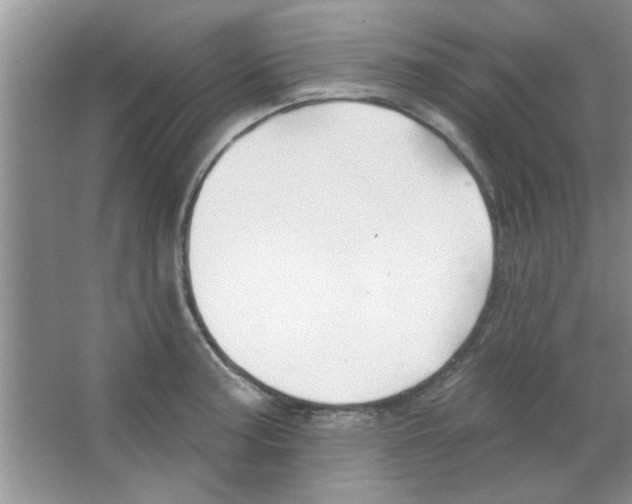 X0000065971187200603311831