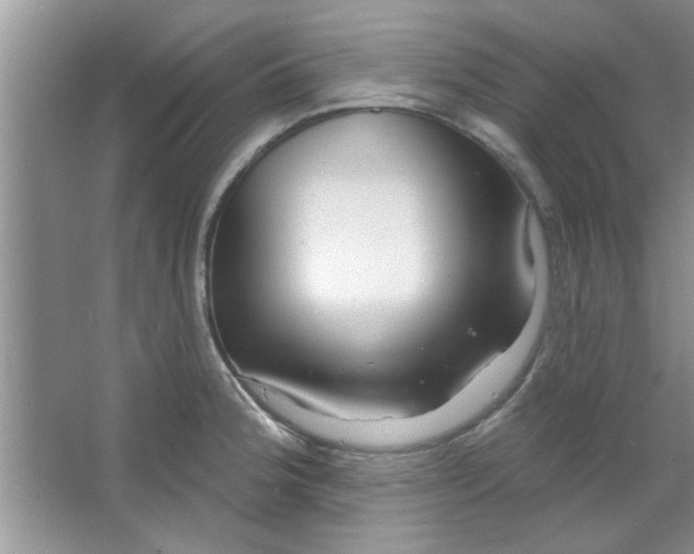 X0000065971188200603311830