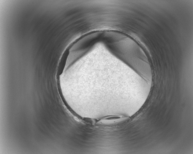 X0000065971189200603311830