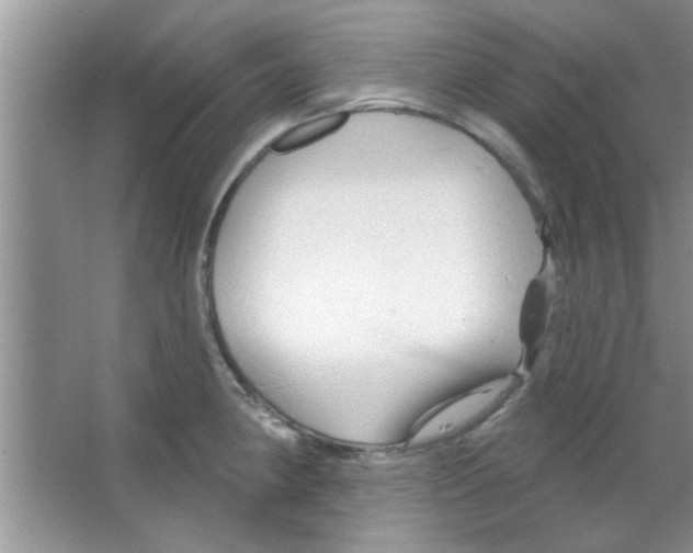 X0000065971190200603311830