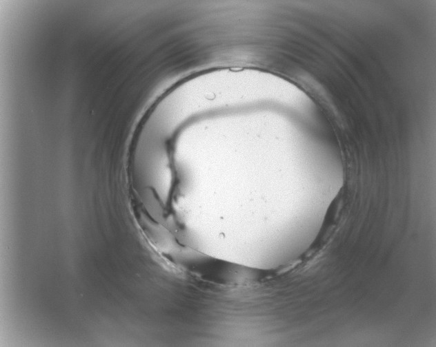 X0000065971192200603311830